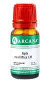 APIS MELLIFICA LM 18 Dilution