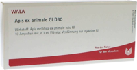 APIS EX animale GL D 30 Ampullen