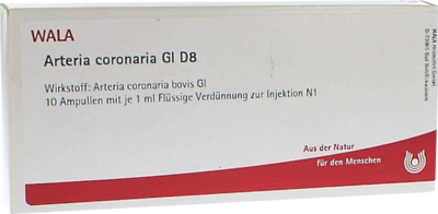 ARTERIA CORONARIA GL D 8 Ampullen