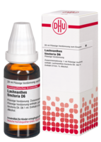 LACHNANTHES tinctoria D 6 Dilution