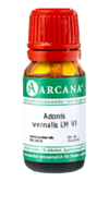 ADONIS VERNALIS LM 6 Dilution