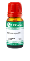 ALLIUM CEPA LM 17 Dilution