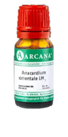 ANACARDIUM ORIENTALE LM 1 Dilution