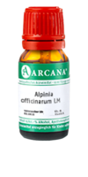 ALPINIA OFFICINARUM LM 24 Dilution