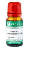 AMBROSIA ARTEMISIAEFOLIA LM 1 Dilution