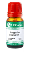 AMYGDALAE AMARAE LM 22 Dilution