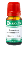 ANACARDIUM OCCIDENTALE LM 13 Dilution