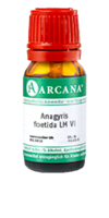 ANAGYRIS foetida LM 6 Dilution