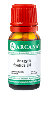 ANAGYRIS foetida LM 11 Dilution