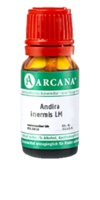 ANDIRA inermis LM 2 Dilution