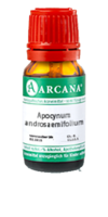 APOCYNUM ANDROSAEMIFOLIUM LM 15 Dilution